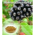 High Quality Eleutheroside B+E 0.8% Siberian Ginseng Extract